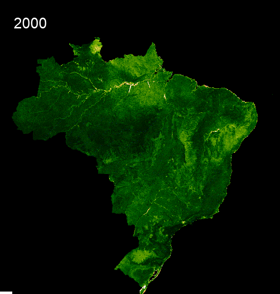 Brazil_GIF